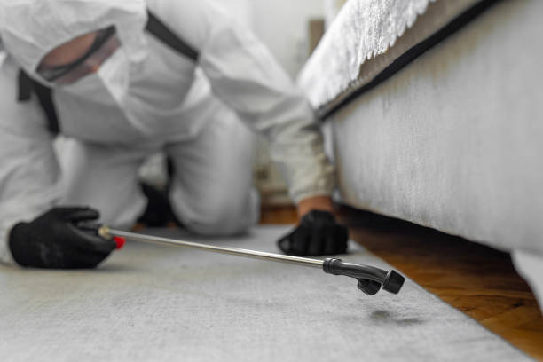 Professional Cockroach Control technician working in Hillsboro, WI